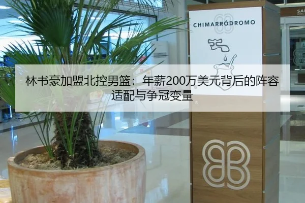 lin-shu-hao-jia-meng-bei-kong-nan-lan-nian-xin-wan-mei-yuan-bei-hou-de-zhen-rong-shi-pei-yu-zheng-guan-bian-liang-3-554.jpg